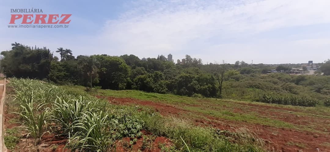 A Imobiliária Perez oferece à você essa ótima oportunidade de investimento em compra de terreno em Londrina: - Foto 7