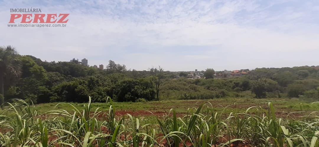 A Imobiliária Perez oferece à você essa ótima oportunidade de investimento em compra de terreno em Londrina: - Foto 9