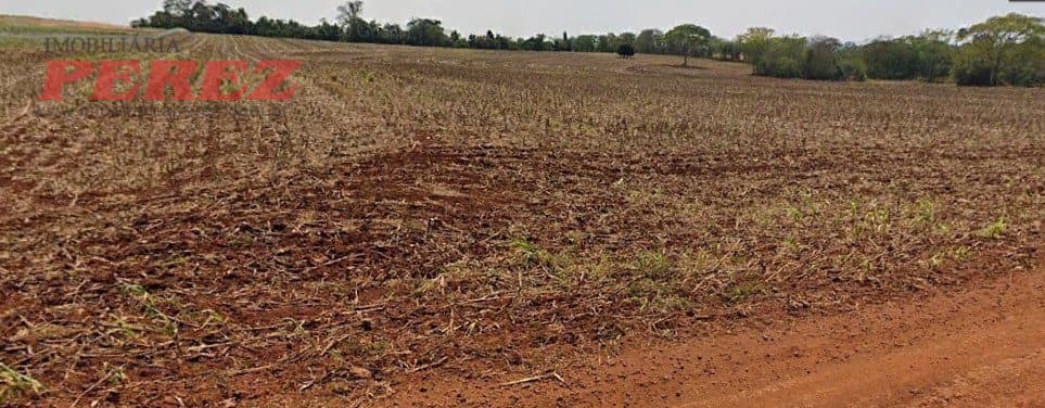 Chácara à venda no Patrimônio Espírito Santo em Londrina