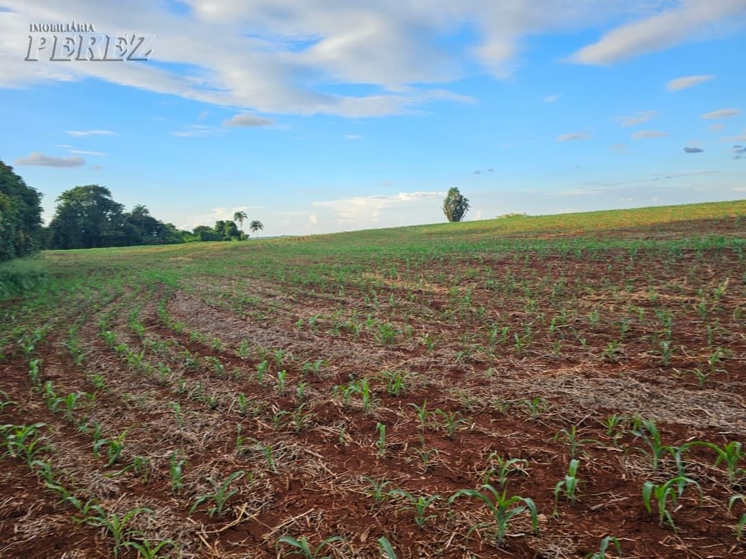 A Imobiliária Perez oferece a você uma ótima oportunidade de sítio para venda em Londrina. - Foto 21