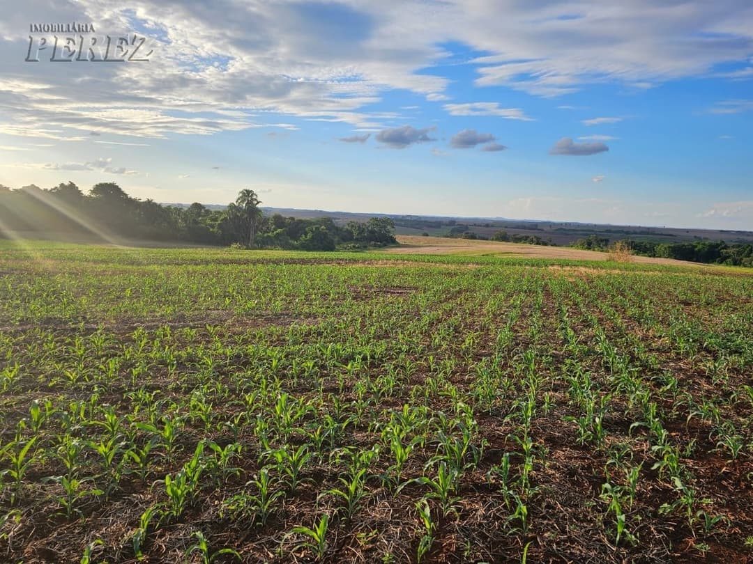 A Imobiliária Perez oferece a você uma ótima oportunidade de sítio para venda em Londrina. - Foto 22