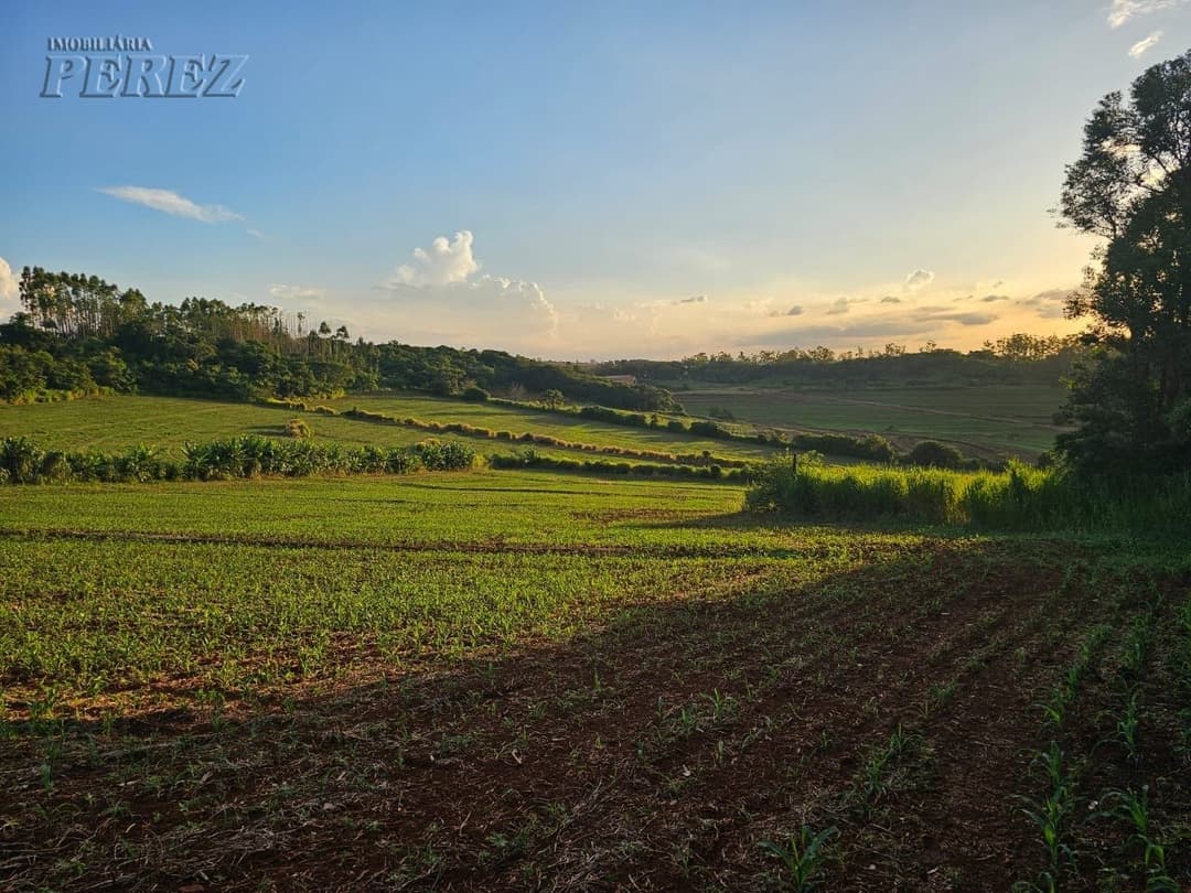 A Imobiliária Perez oferece a você uma ótima oportunidade de sítio para venda em Londrina. - Foto 23