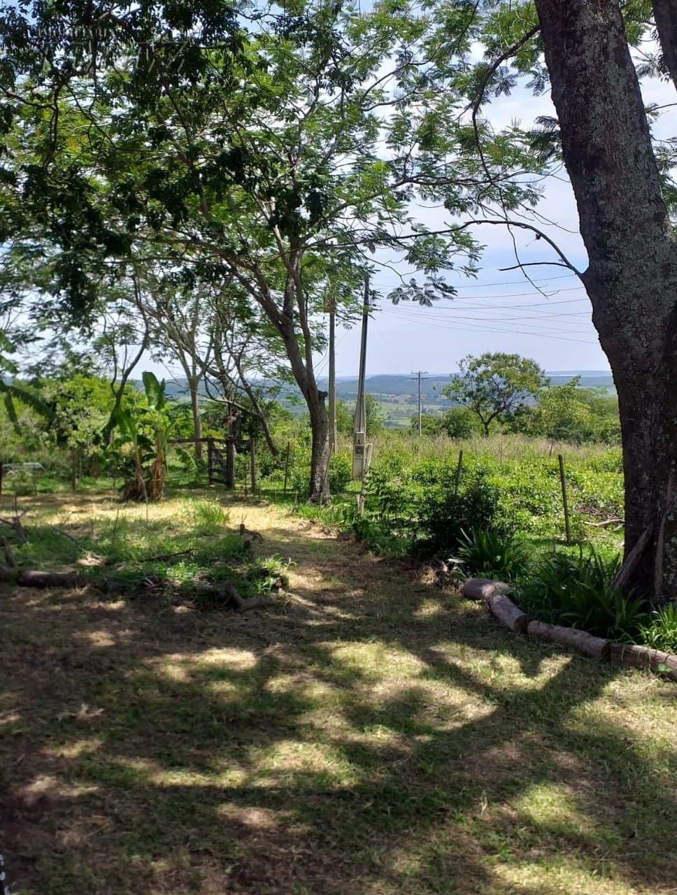 A Imobiliária Perez oferece à você essa ótima oportunidade de fazenda para venda em Londrina: - Foto 11