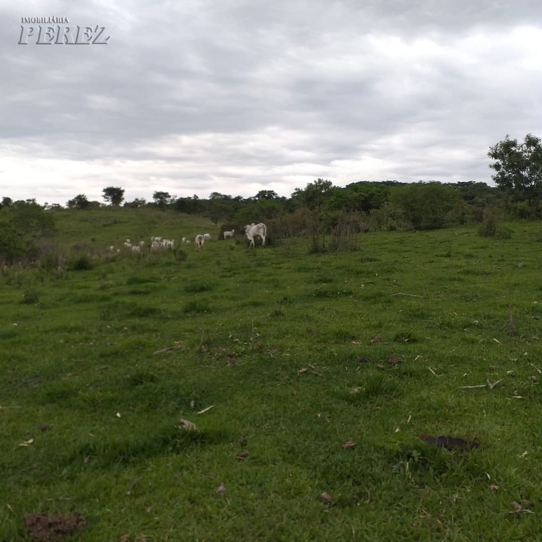 A Imobiliária Perez oferece à você essa ótima oportunidade de fazenda para venda em Londrina: - Foto 9