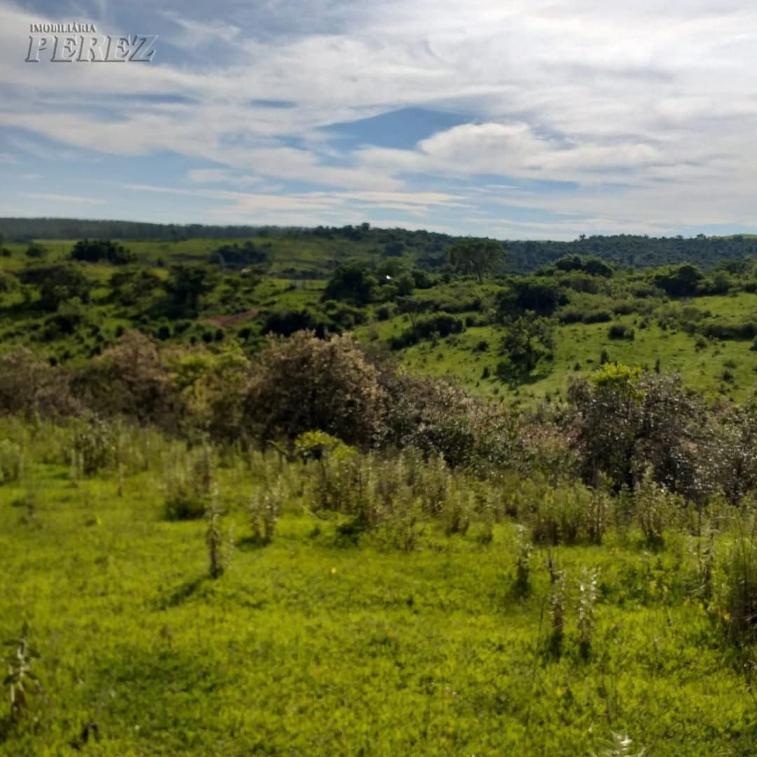 A Imobiliária Perez oferece à você essa ótima oportunidade de fazenda para venda em Londrina: - Foto 10