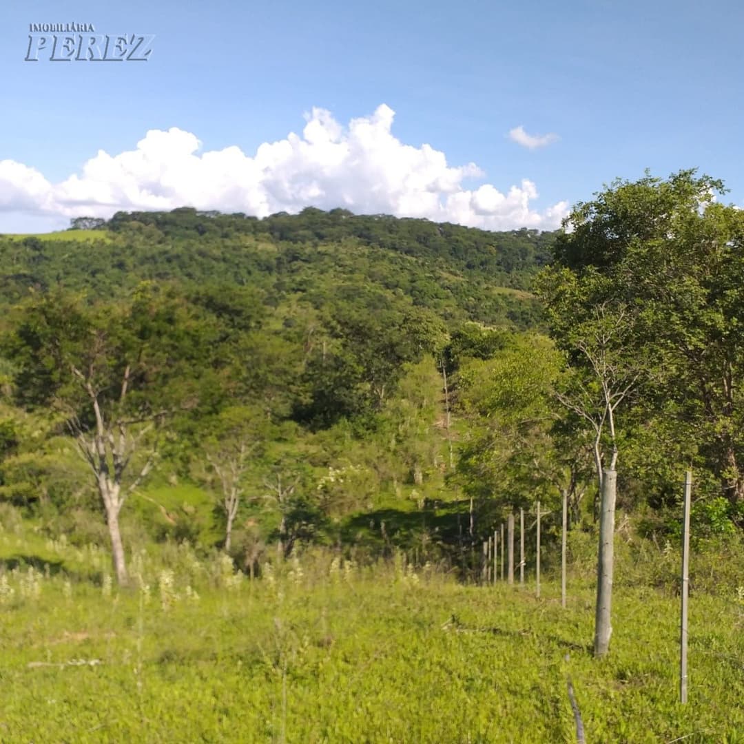 A Imobiliária Perez oferece à você essa ótima oportunidade de fazenda para venda em Londrina: - Foto 12