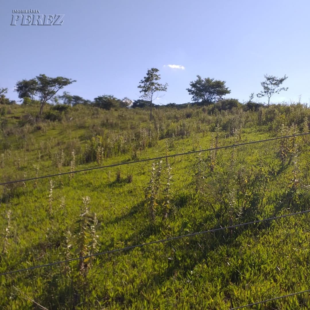 A Imobiliária Perez oferece à você essa ótima oportunidade de fazenda para venda em Londrina: - Foto 13