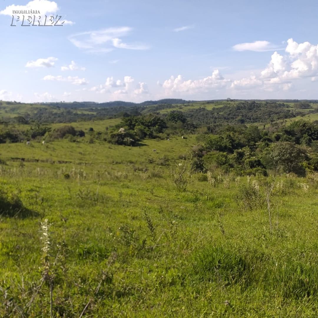 A Imobiliária Perez oferece à você essa ótima oportunidade de fazenda para venda em Londrina: - Foto 14
