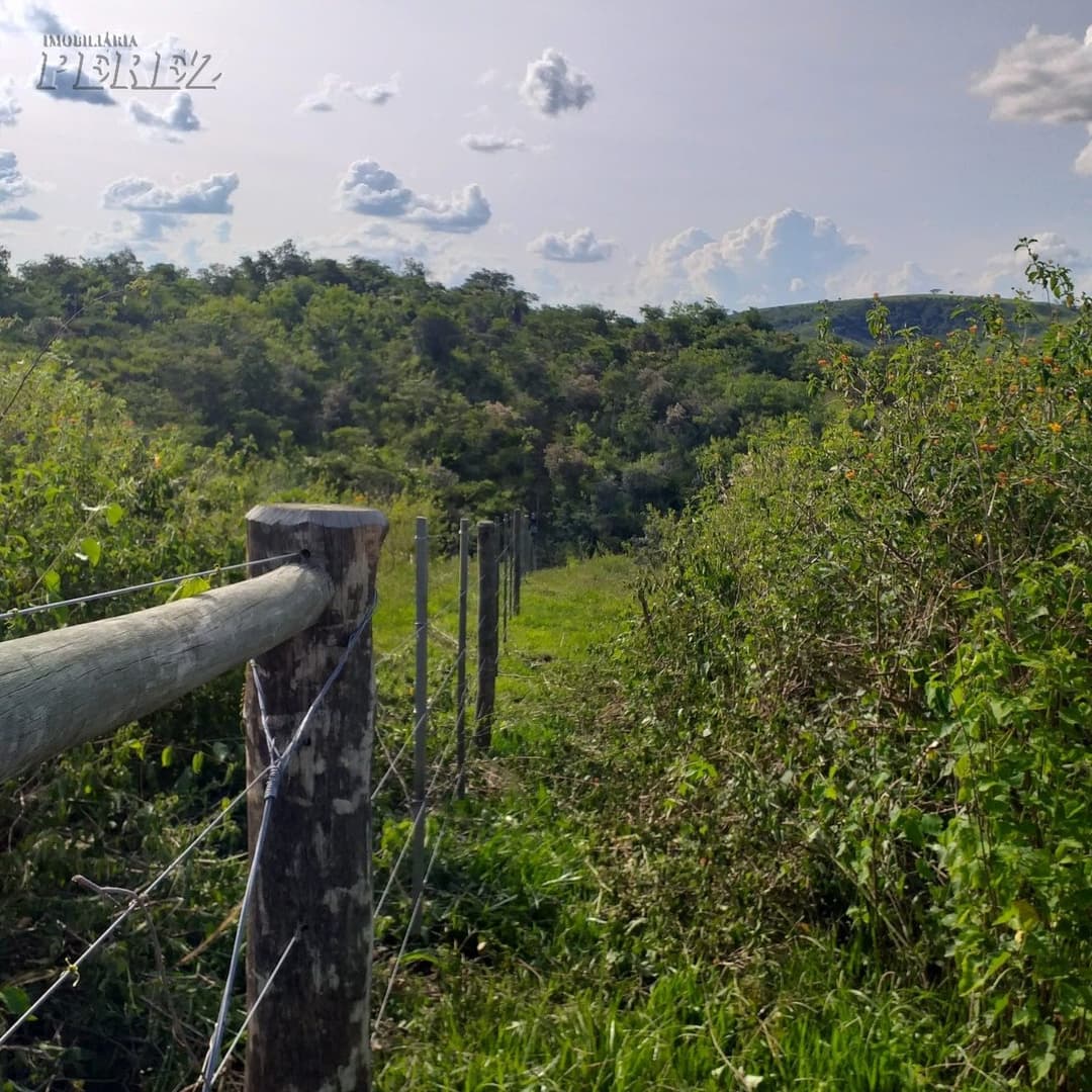 A Imobiliária Perez oferece à você essa ótima oportunidade de fazenda para venda em Londrina: - Foto 6