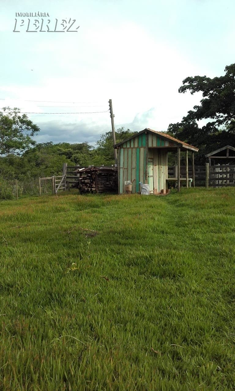A Imobiliária Perez oferece à você essa ótima oportunidade de fazenda para venda em Londrina: - Foto 4