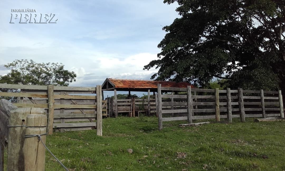 A Imobiliária Perez oferece à você essa ótima oportunidade de fazenda para venda em Londrina: - Foto 5