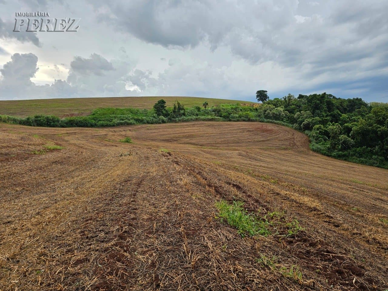 Venda de Sítio Produtivo com Recursos Naturais - Região de Londrina/PR - Foto 1