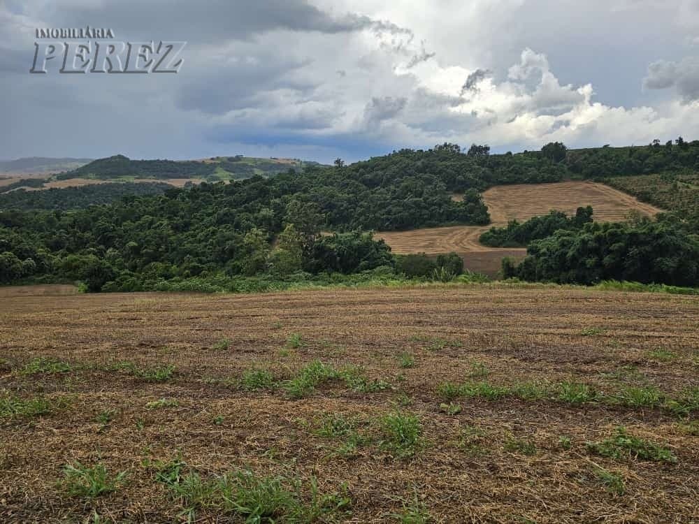 Venda de Sítio Produtivo com Recursos Naturais - Região de Londrina/PR - Foto 2