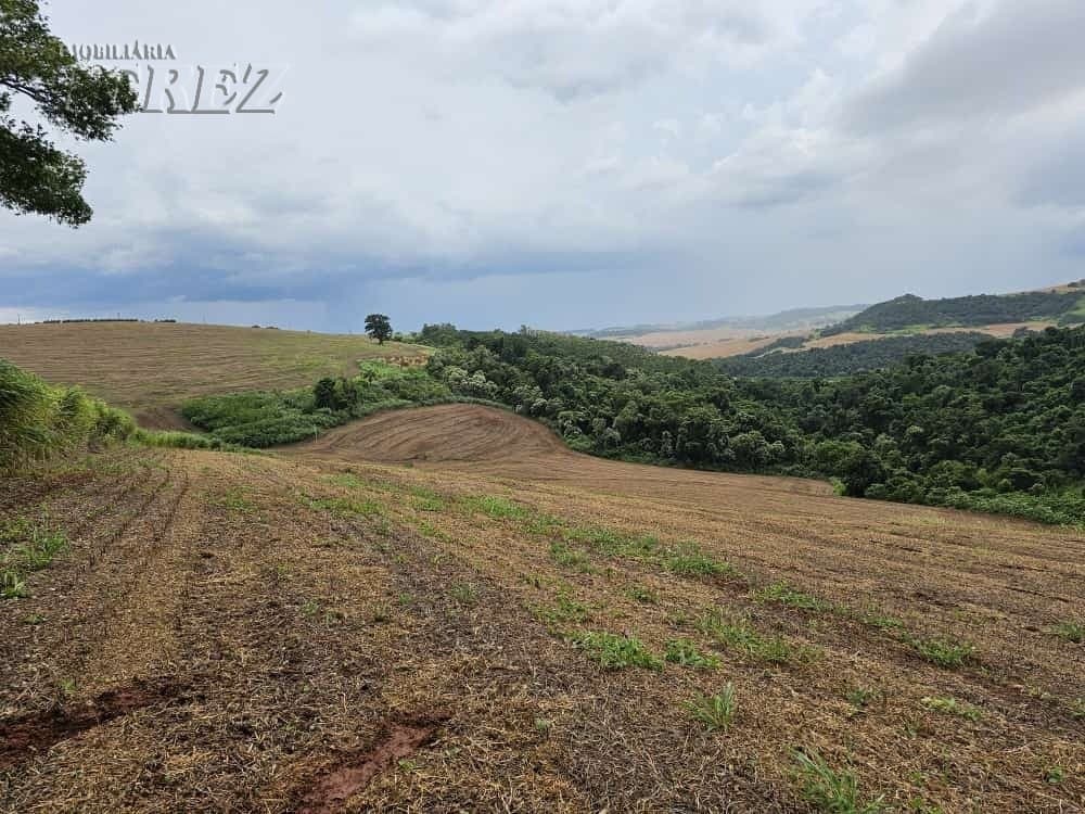 Venda de Sítio Produtivo com Recursos Naturais - Região de Londrina/PR - Foto 3
