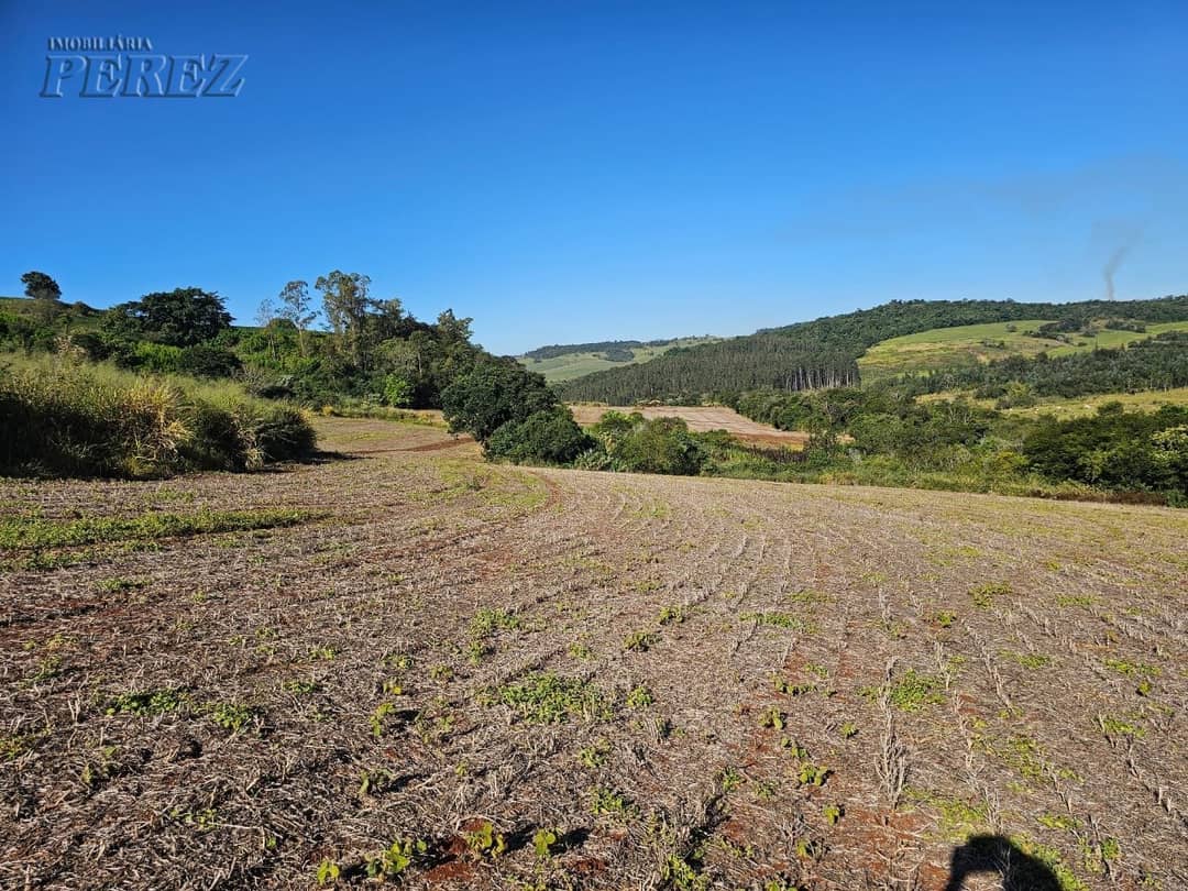A Imobiliária Perez oferece a você uma ótima oportunidade de sitio para venda em Londrina. - Foto 1