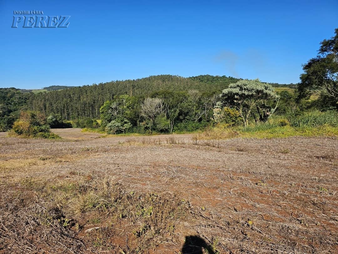 A Imobiliária Perez oferece a você uma ótima oportunidade de sitio para venda em Londrina. - Foto 2