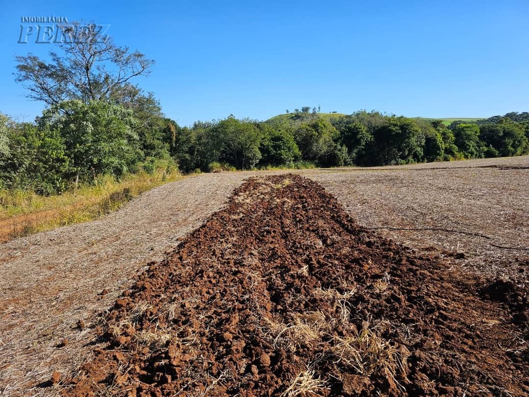 A Imobiliária Perez oferece a você uma ótima oportunidade de sitio para venda em Londrina. - Foto 3