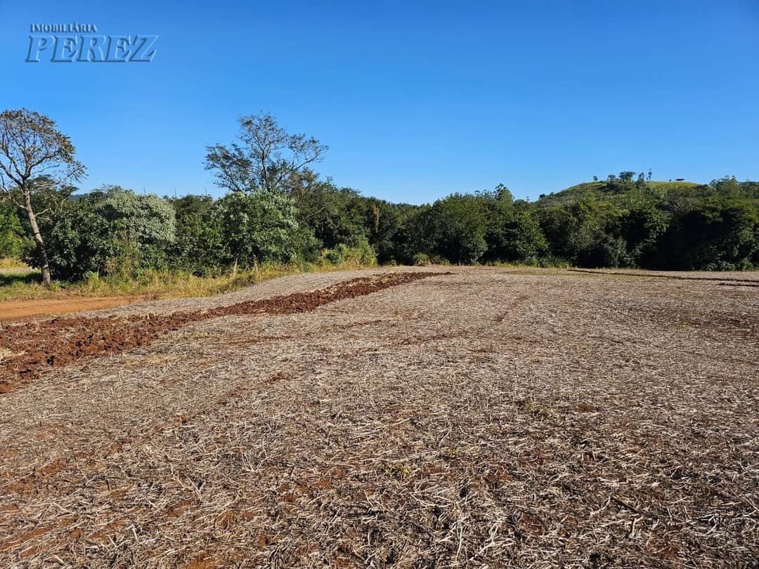 A Imobiliária Perez oferece a você uma ótima oportunidade de sitio para venda em Londrina. - Foto 4