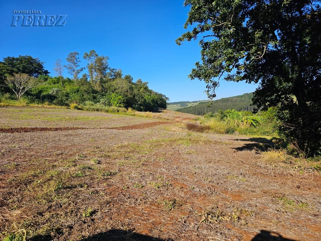 A Imobiliária Perez oferece a você uma ótima oportunidade de sitio para venda em Londrina. - Foto 5