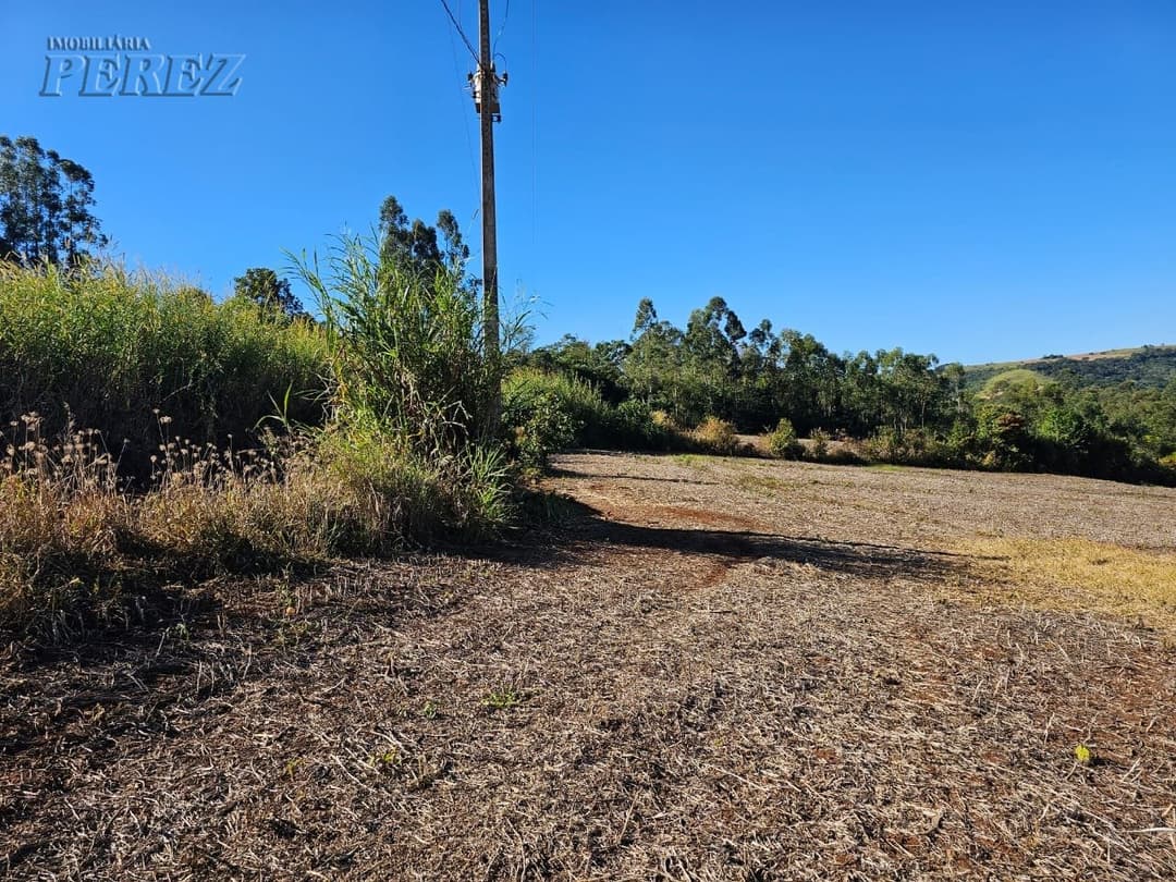 A Imobiliária Perez oferece a você uma ótima oportunidade de sitio para venda em Londrina. - Foto 6