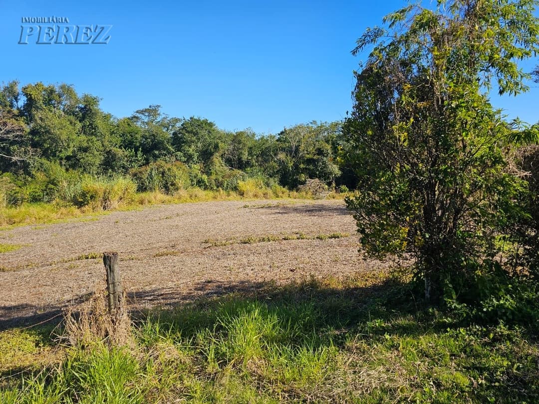 A Imobiliária Perez oferece a você uma ótima oportunidade de sitio para venda em Londrina. - Foto 10