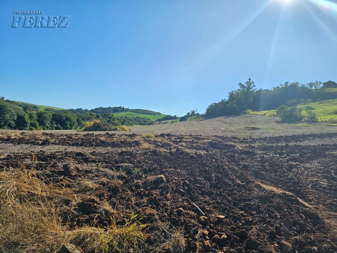 A Imobiliária Perez oferece a você uma ótima oportunidade de sitio para venda em Londrina. - Foto 13