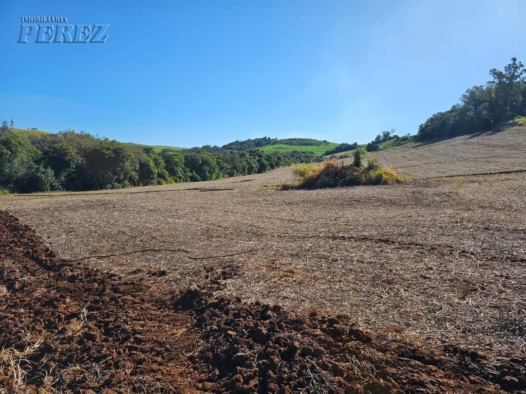 A Imobiliária Perez oferece a você uma ótima oportunidade de sitio para venda em Londrina. - Foto 17