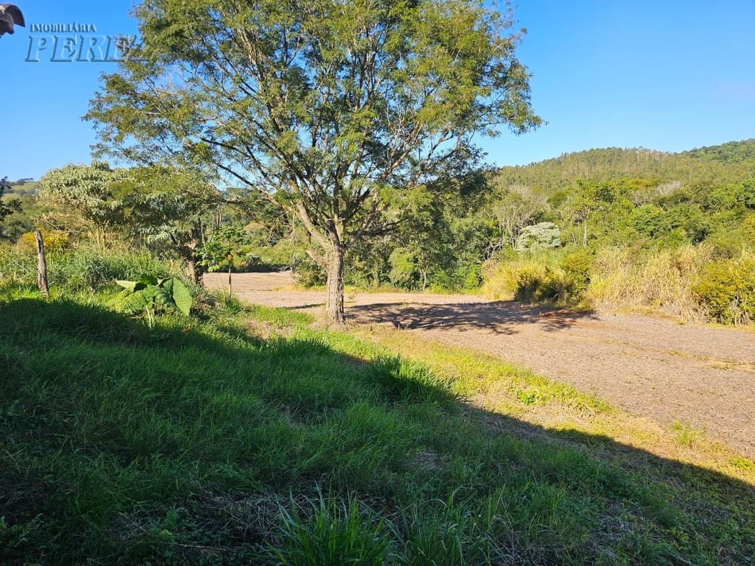 A Imobiliária Perez oferece a você uma ótima oportunidade de sitio para venda em Londrina. - Foto 19