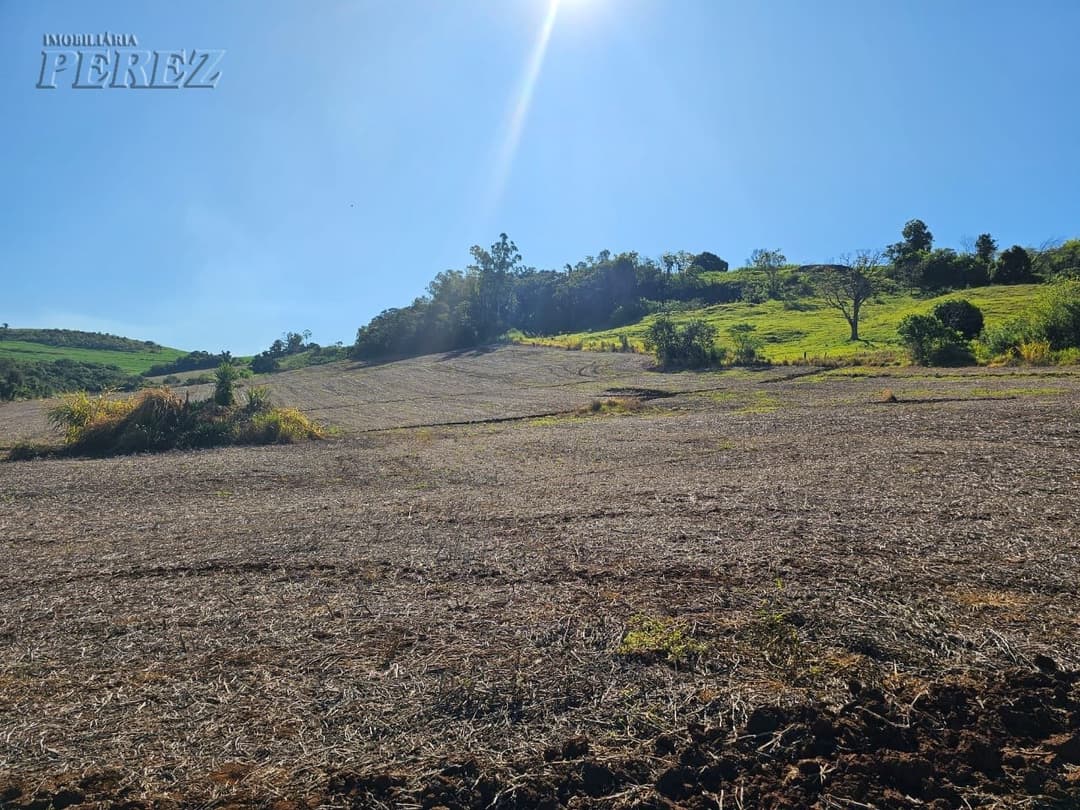A Imobiliária Perez oferece a você uma ótima oportunidade de sitio para venda em Londrina. - Foto 20