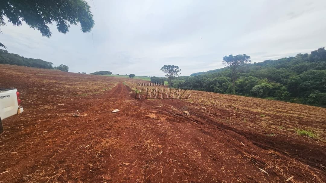 A Imobiliária Perez oferece a você uma ótima oportunidade de sítio para venda em Londrina. - Foto 1