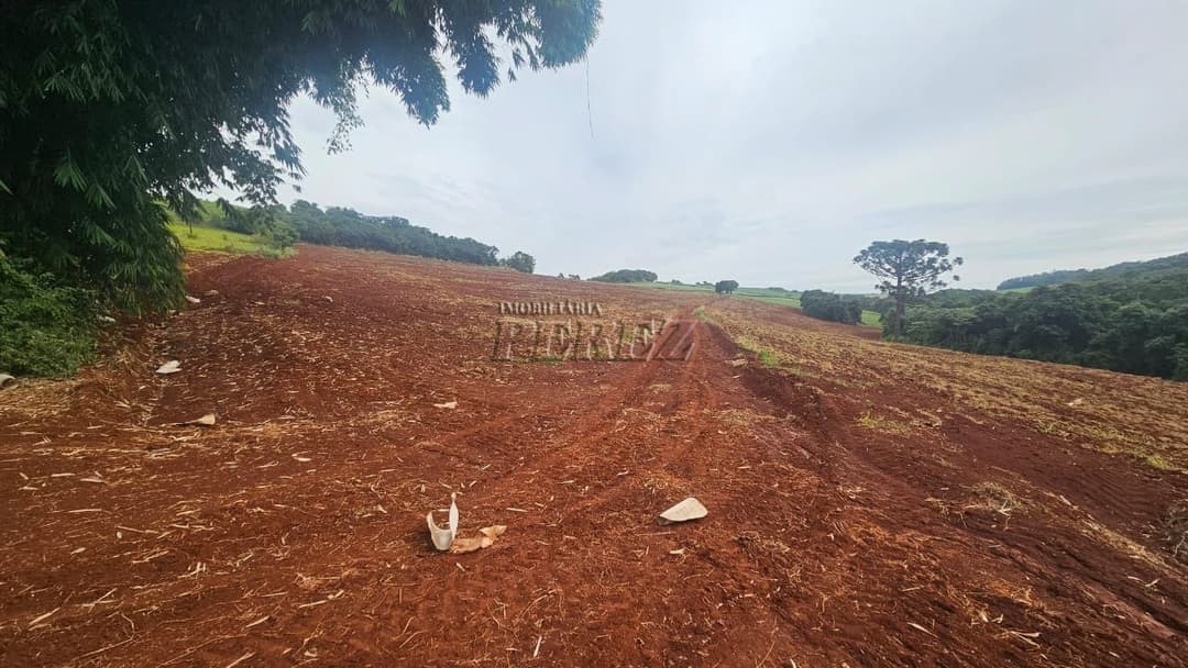 A Imobiliária Perez oferece a você uma ótima oportunidade de sítio para venda em Londrina. - Foto 2