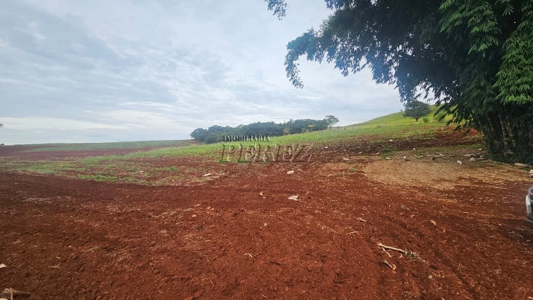 A Imobiliária Perez oferece a você uma ótima oportunidade de sítio para venda em Londrina. - Foto 3