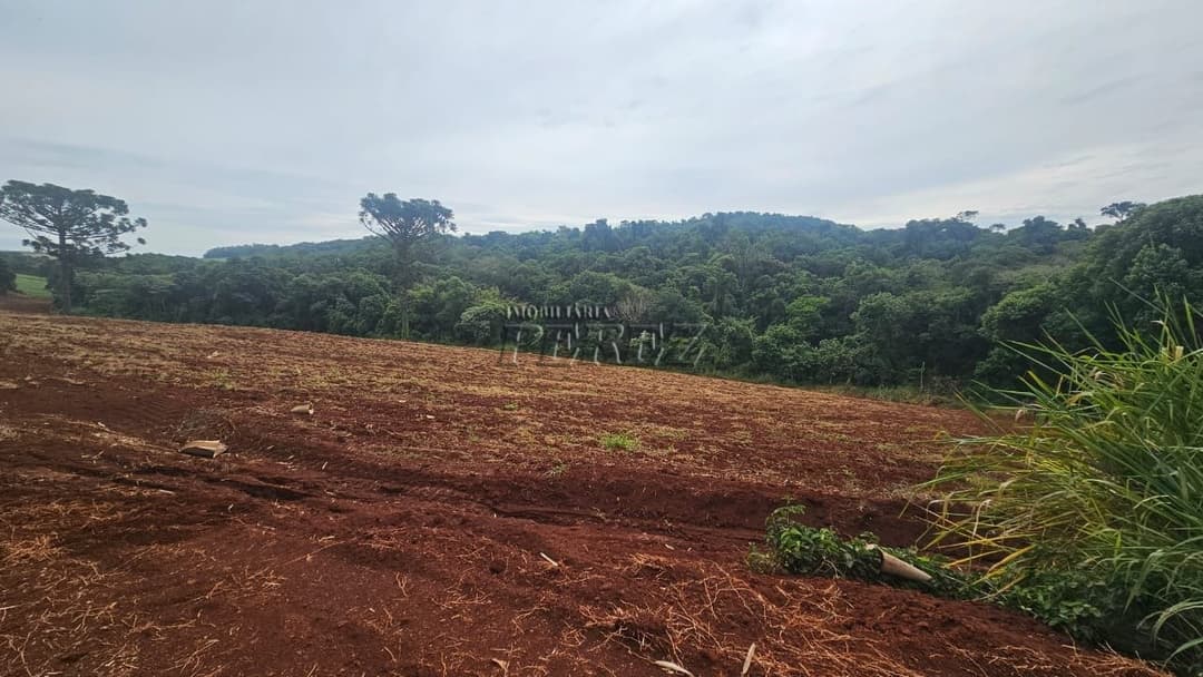 A Imobiliária Perez oferece a você uma ótima oportunidade de sítio para venda em Londrina. - Foto 4