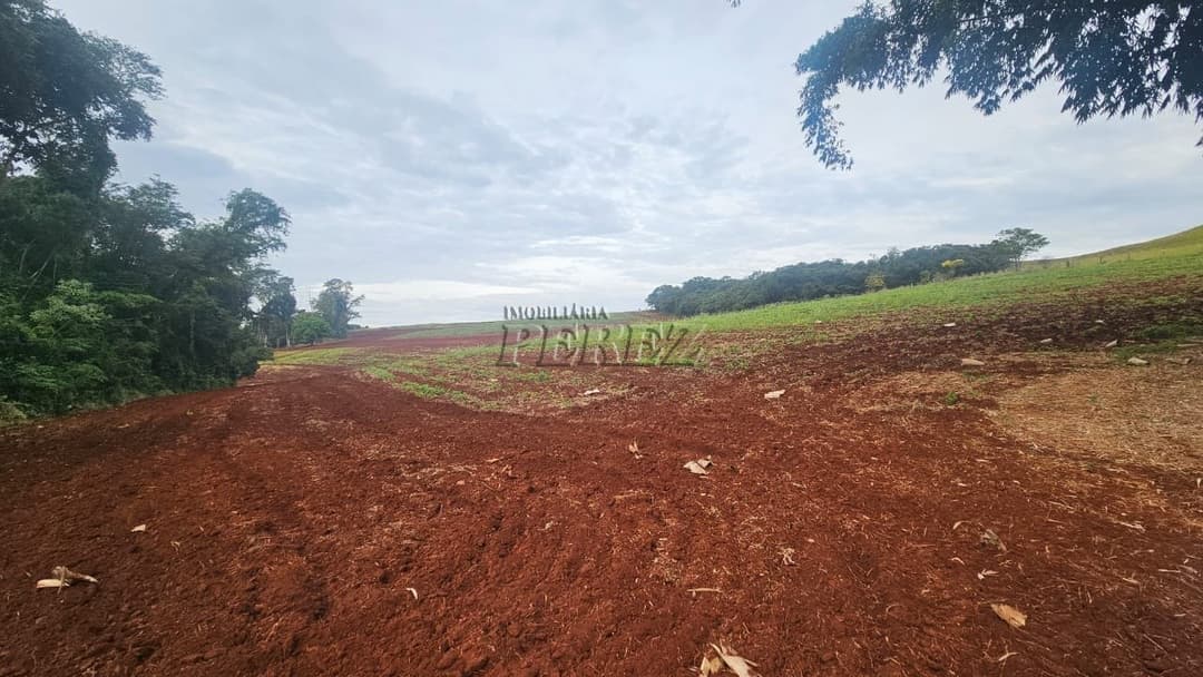 A Imobiliária Perez oferece a você uma ótima oportunidade de sítio para venda em Londrina. - Foto 5