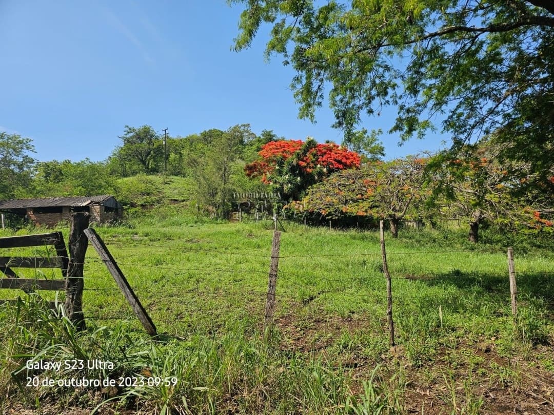 A Imobiliária Perez oferece a você uma ótima oportunidade de imóvel rural para venda em Londrina. - Foto 2