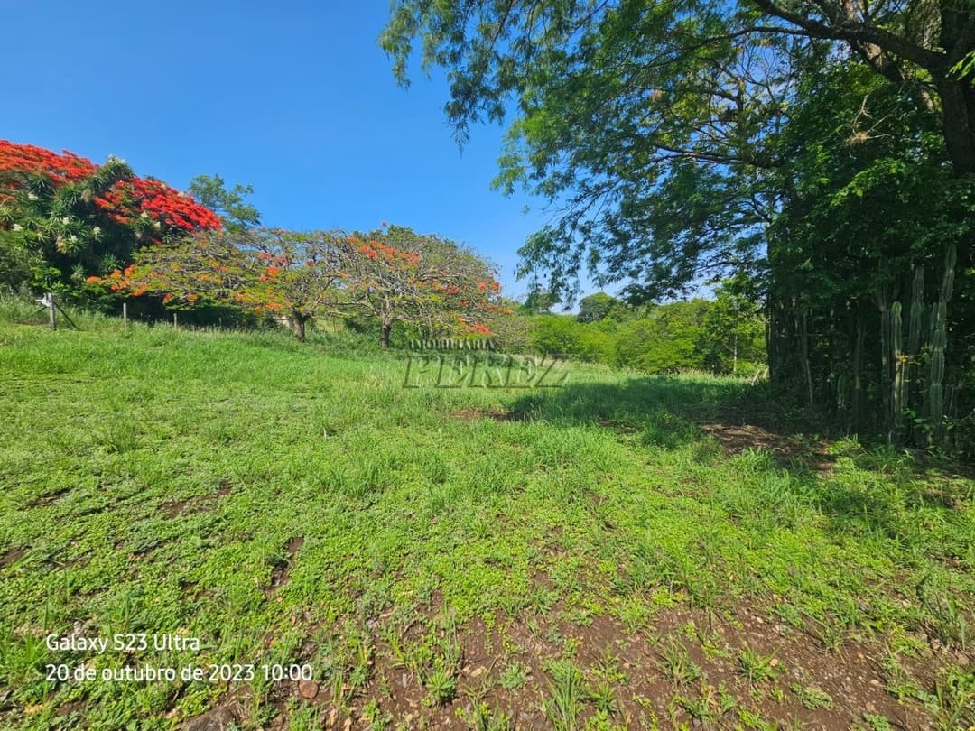 A Imobiliária Perez oferece a você uma ótima oportunidade de imóvel rural para venda em Londrina. - Foto 3