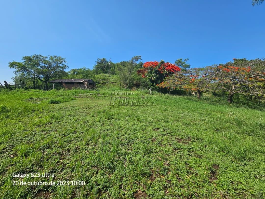 A Imobiliária Perez oferece a você uma ótima oportunidade de imóvel rural para venda em Londrina. - Foto 4