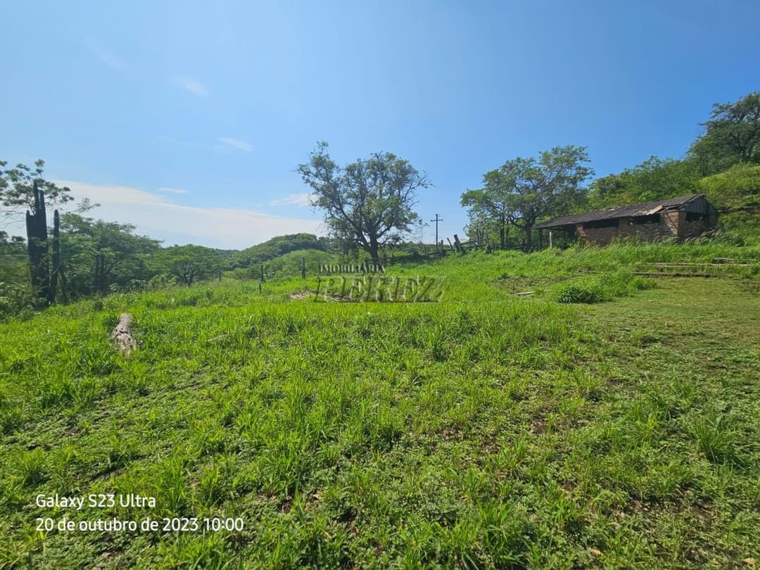 A Imobiliária Perez oferece a você uma ótima oportunidade de imóvel rural para venda em Londrina. - Foto 6