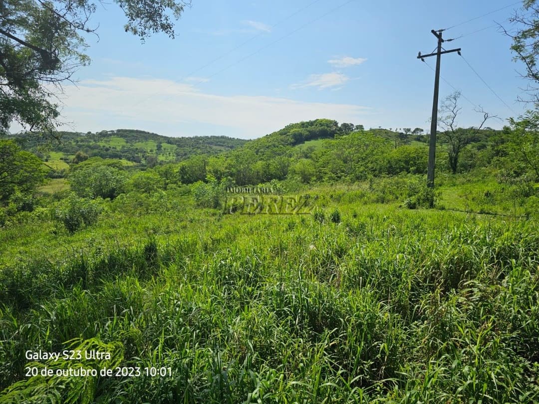 A Imobiliária Perez oferece a você uma ótima oportunidade de imóvel rural para venda em Londrina. - Foto 7