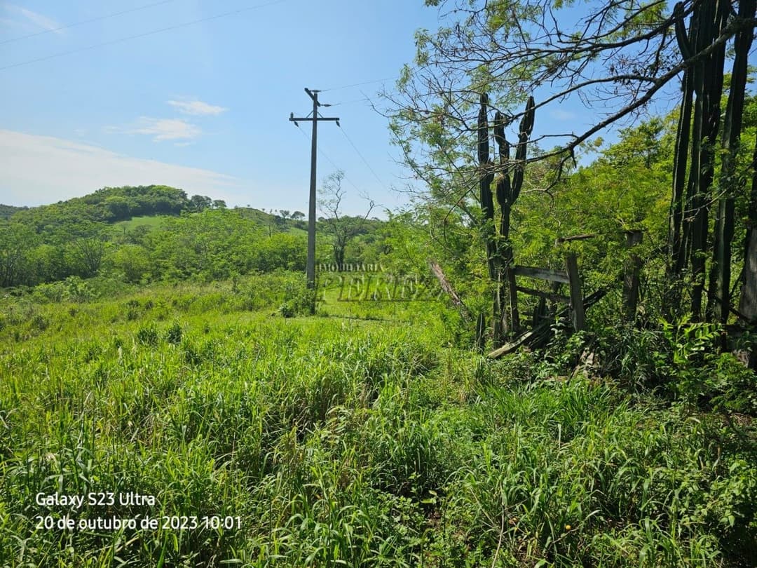 A Imobiliária Perez oferece a você uma ótima oportunidade de imóvel rural para venda em Londrina. - Foto 8