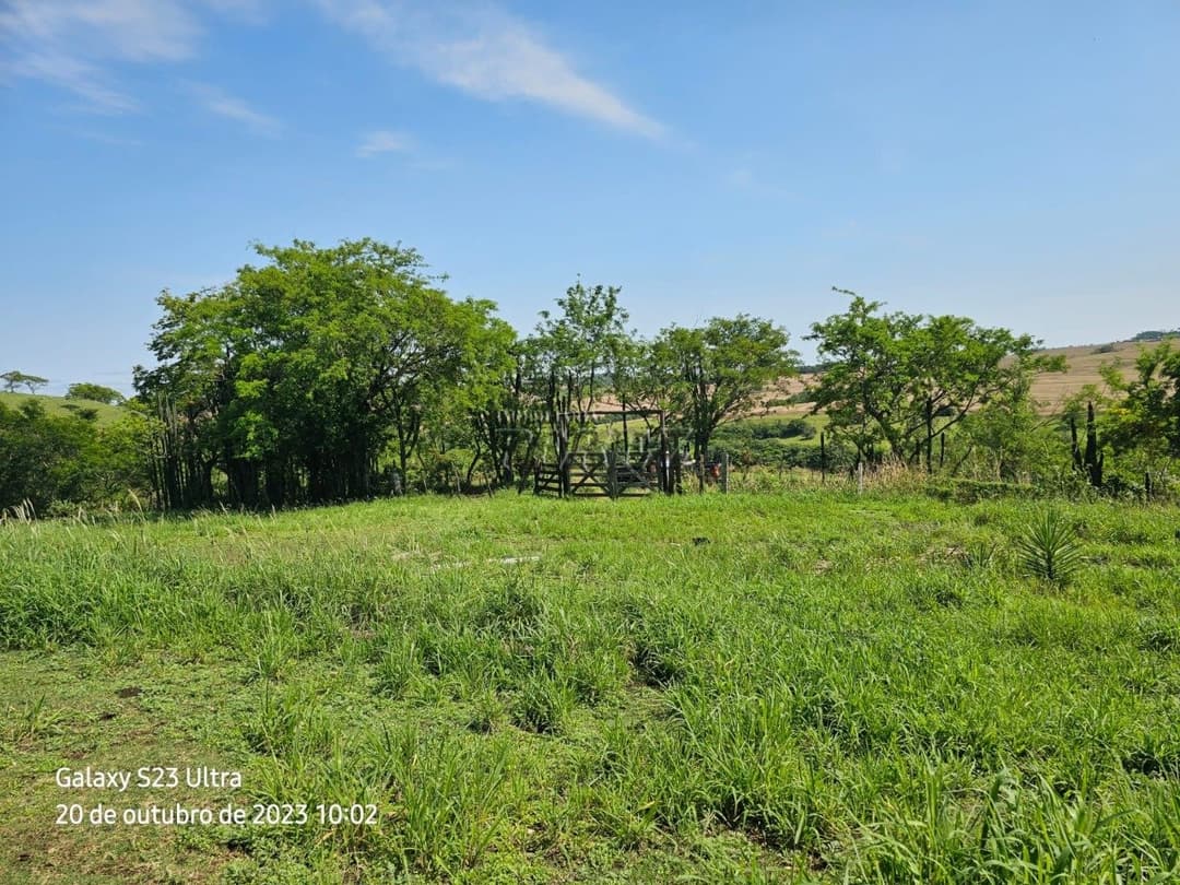 A Imobiliária Perez oferece a você uma ótima oportunidade de imóvel rural para venda em Londrina. - Foto 9