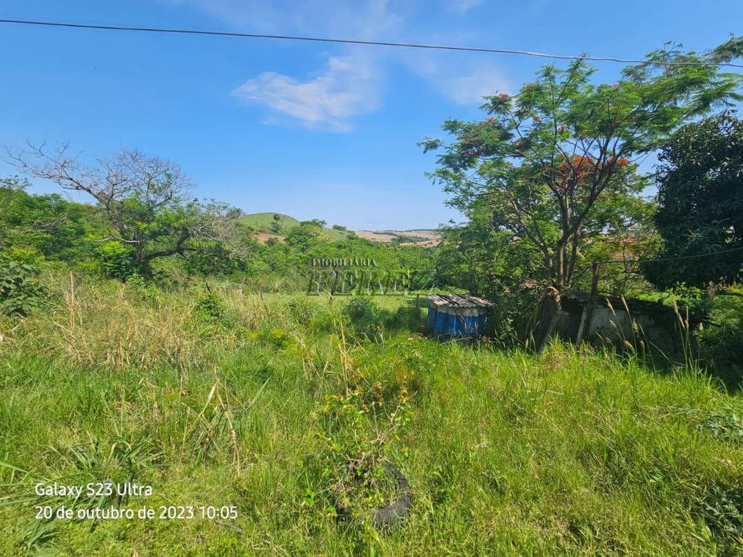 A Imobiliária Perez oferece a você uma ótima oportunidade de imóvel rural para venda em Londrina. - Foto 15