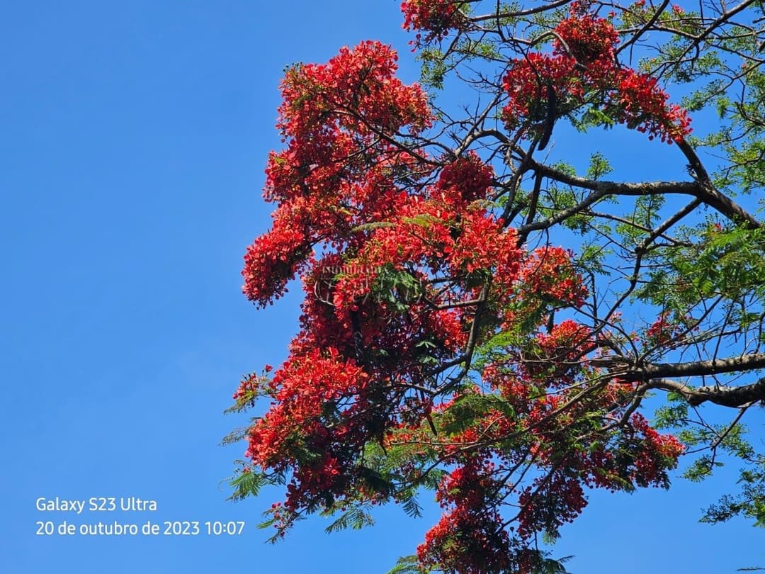 A Imobiliária Perez oferece a você uma ótima oportunidade de imóvel rural para venda em Londrina. - Foto 17