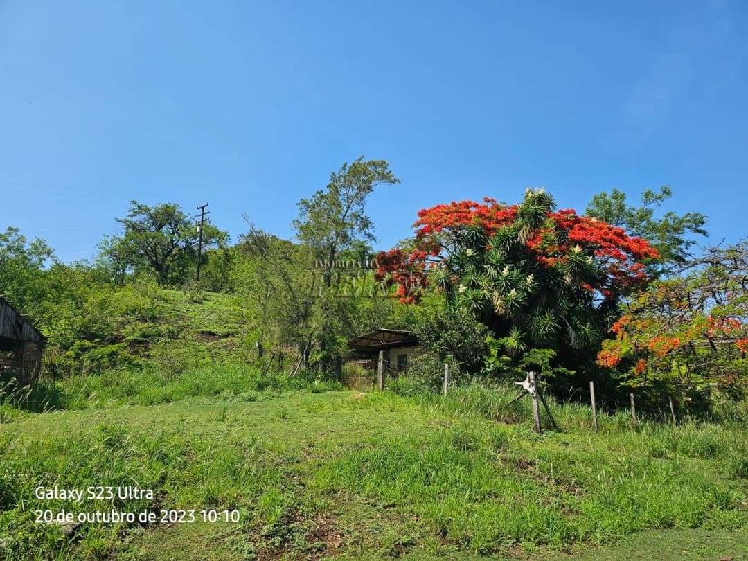 A Imobiliária Perez oferece a você uma ótima oportunidade de imóvel rural para venda em Londrina. - Foto 25