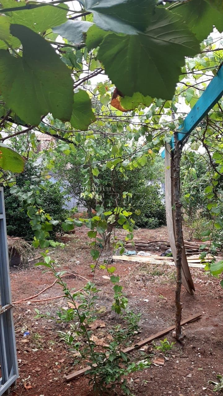 Chácara a venda na rua Armando Vicente Roque, jardim império do sol londrina - Foto 30