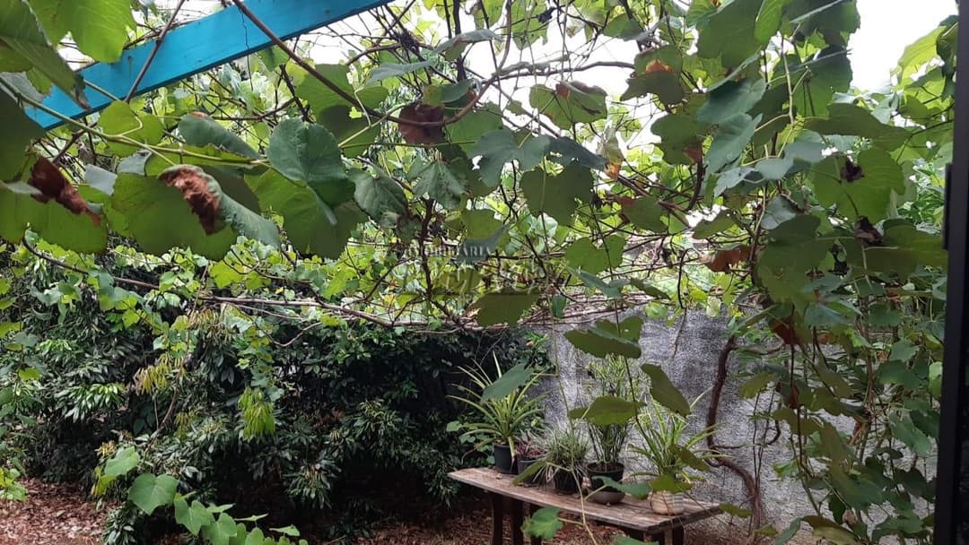 Chácara a venda na rua Armando Vicente Roque, jardim império do sol londrina - Foto 31