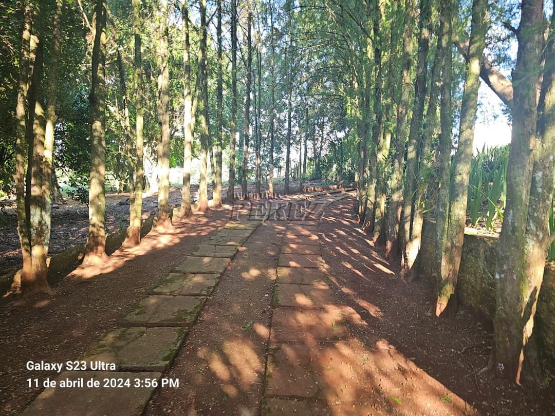 Sítio com 80.000.m² localizado na Rodovia Major Achilles Pimpão Ferreira - Foto 8