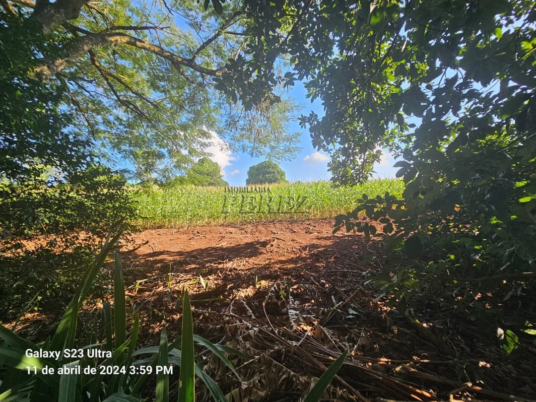 Sítio com 80.000.m² localizado na Rodovia Major Achilles Pimpão Ferreira - Foto 30