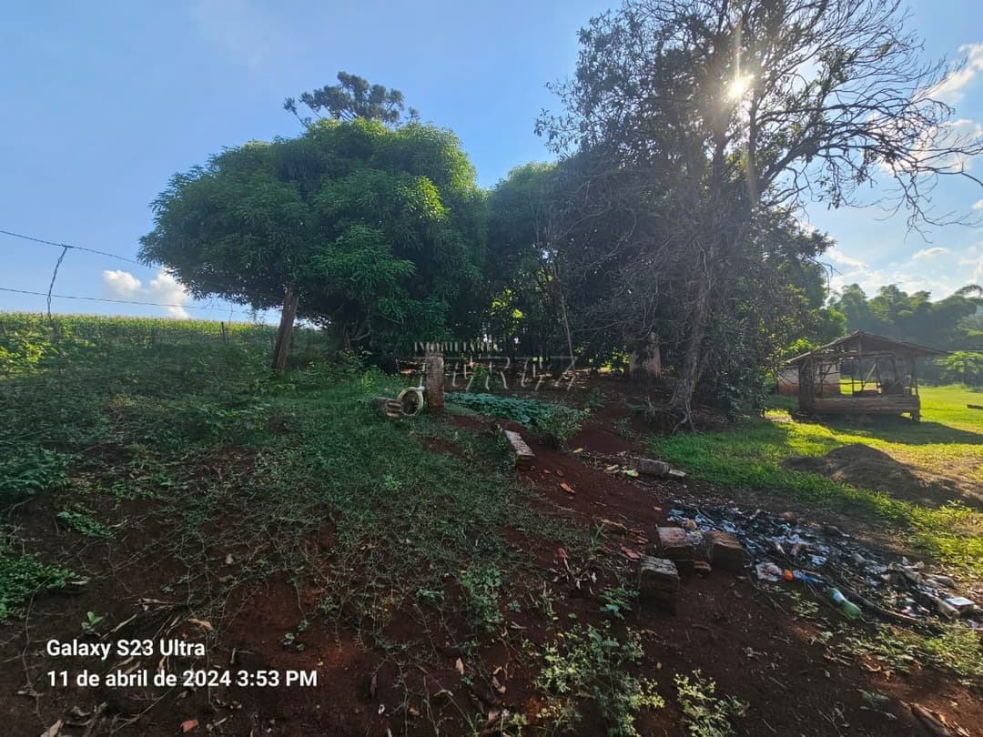 Sítio com 80.000.m² localizado na Rodovia Major Achilles Pimpão Ferreira - Foto 27