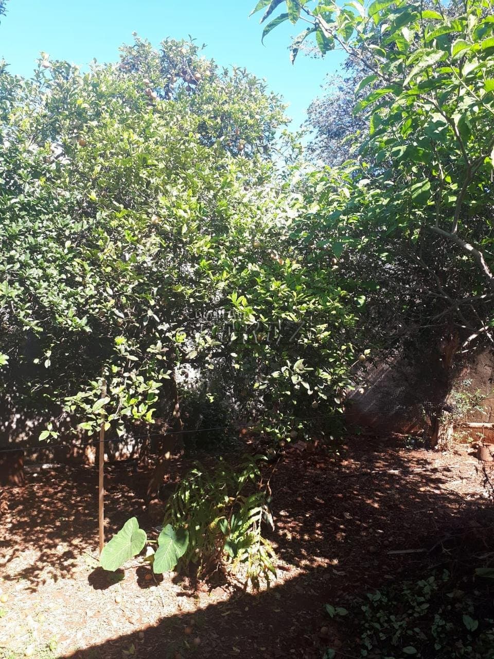 Terreno a venda na região central, no jardim Petrópolis - Foto 8